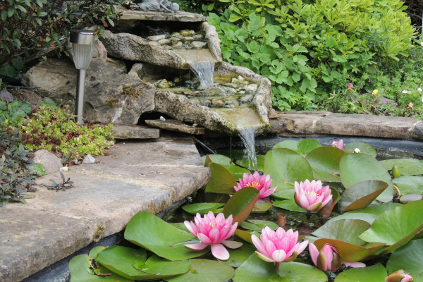 Jardim japonês: transforme seu espaço em um refúgio de paz e contemplação